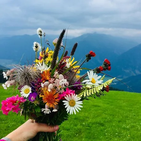 Apartament Rosengartl Krimml Oberkrimml