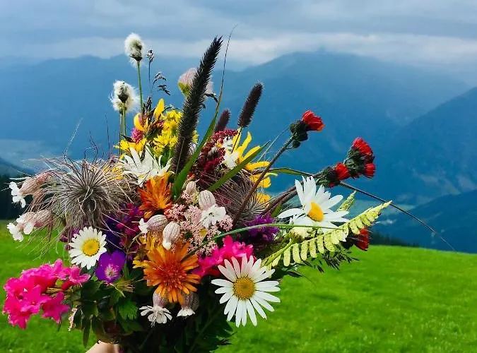 Lägenhet Rosengartl Krimml Oberkrimml